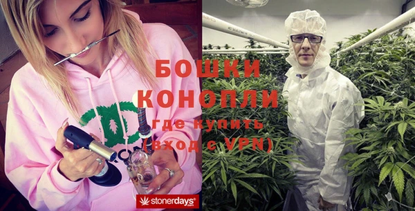 крисы Елизово
