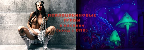 крисы Елизово